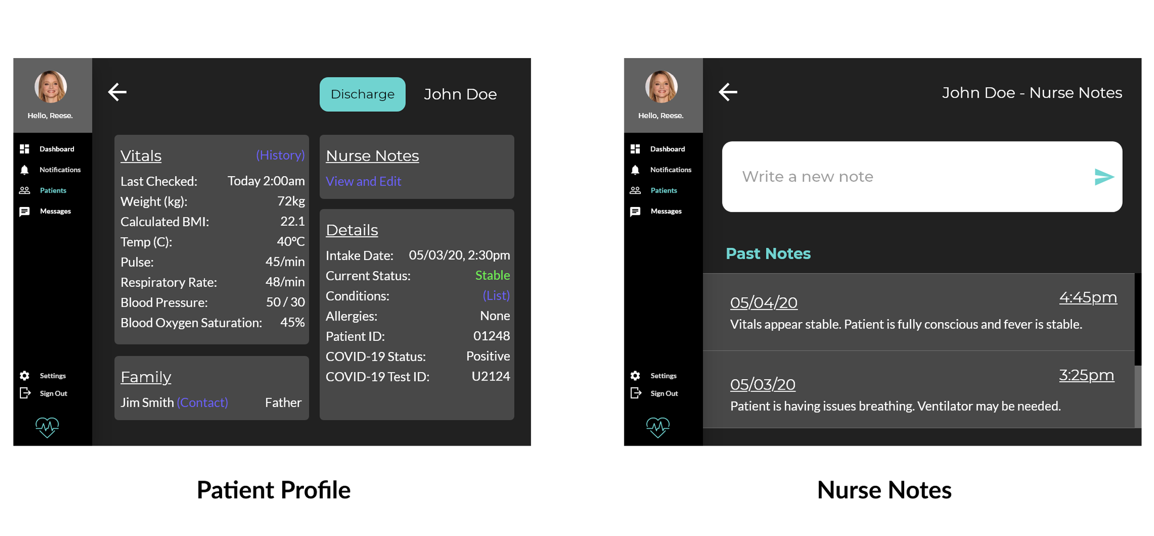 Patient monitoring and nurse notes screens